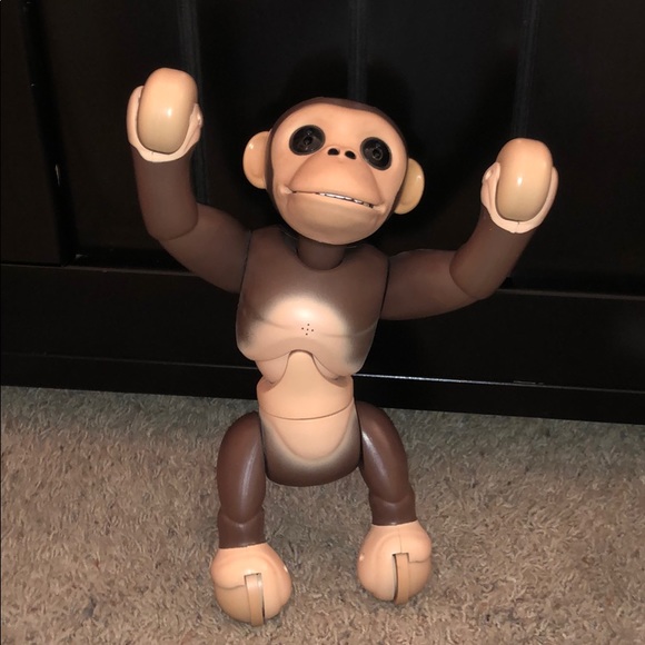 monkey zoomer